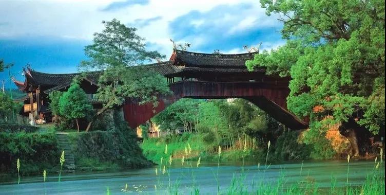 洲精品无码高潮喷水A片