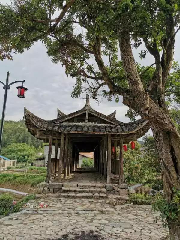 洲精品无码高潮喷水A片