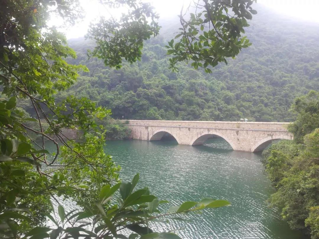 洲精品无码高潮喷水A片