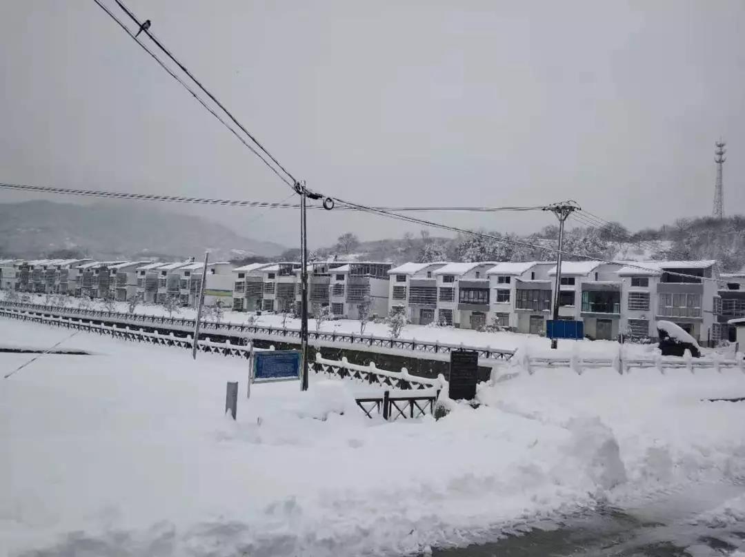洲精品无码高潮喷水A片