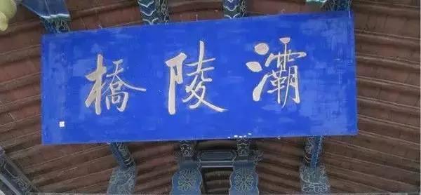 洲精品无码高潮喷水A片