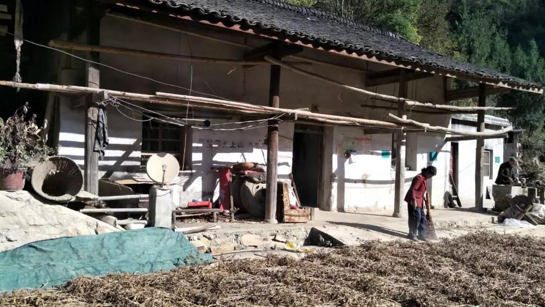 洲精品无码高潮喷水A片