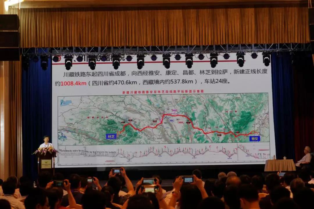 洲精品无码高潮喷水A片