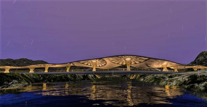 洲精品无码高潮喷水A片