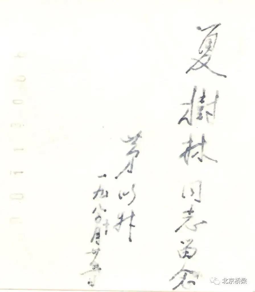 洲精品无码高潮喷水A片