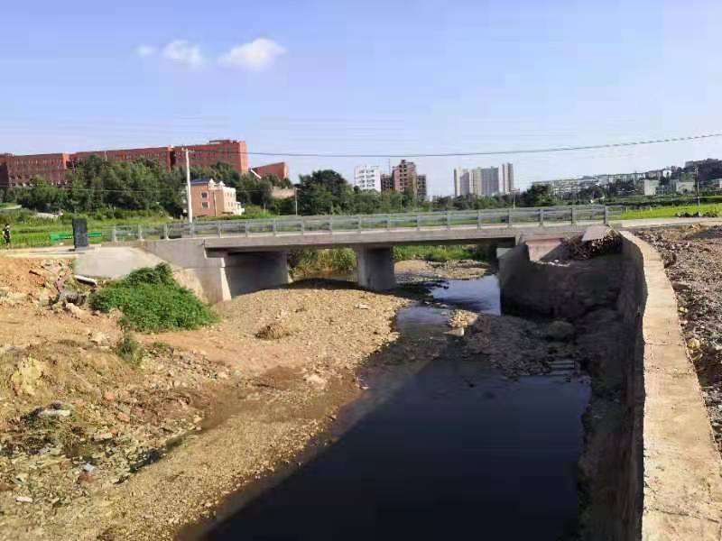 洲精品无码高潮喷水A片