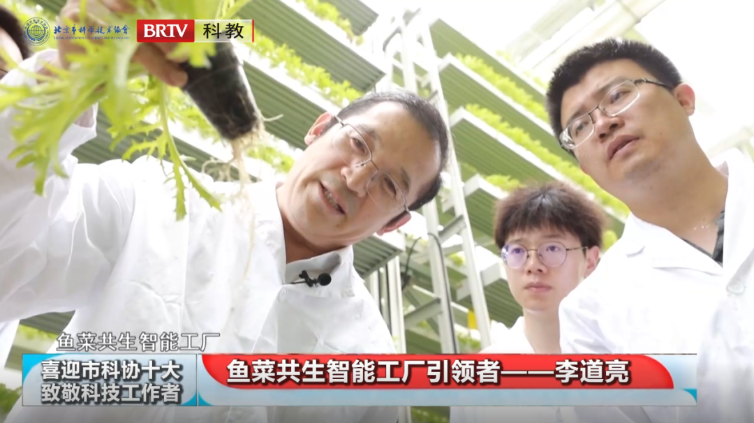 洲精品无码高潮喷水A片