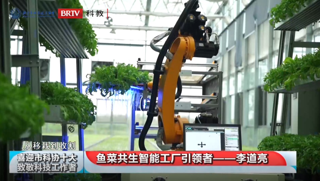 洲精品无码高潮喷水A片