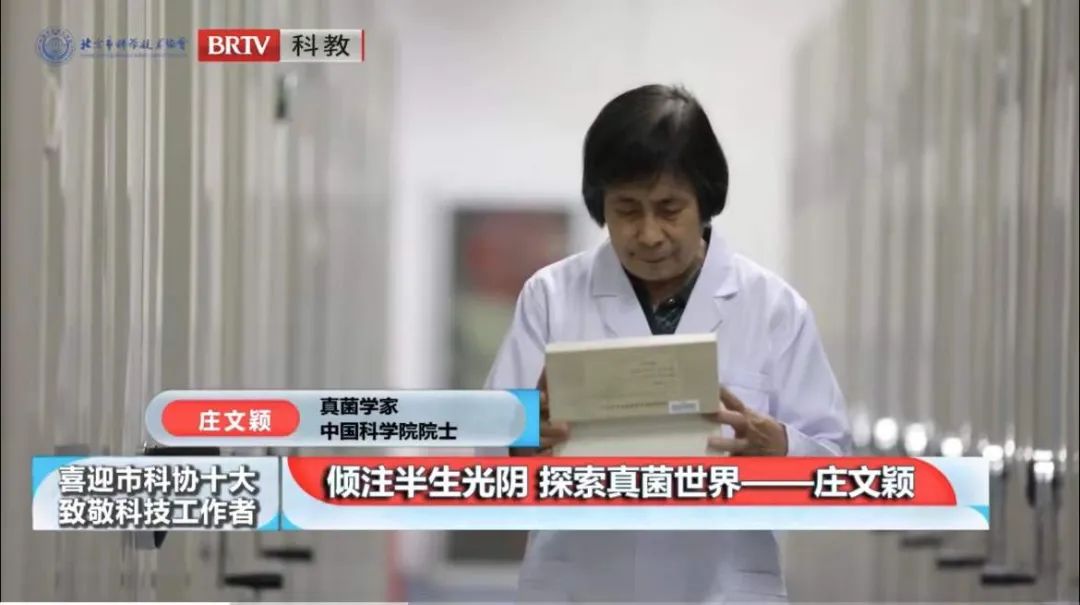 洲精品无码高潮喷水A片