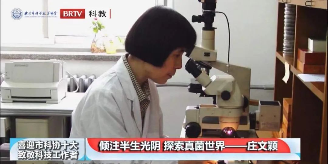 洲精品无码高潮喷水A片