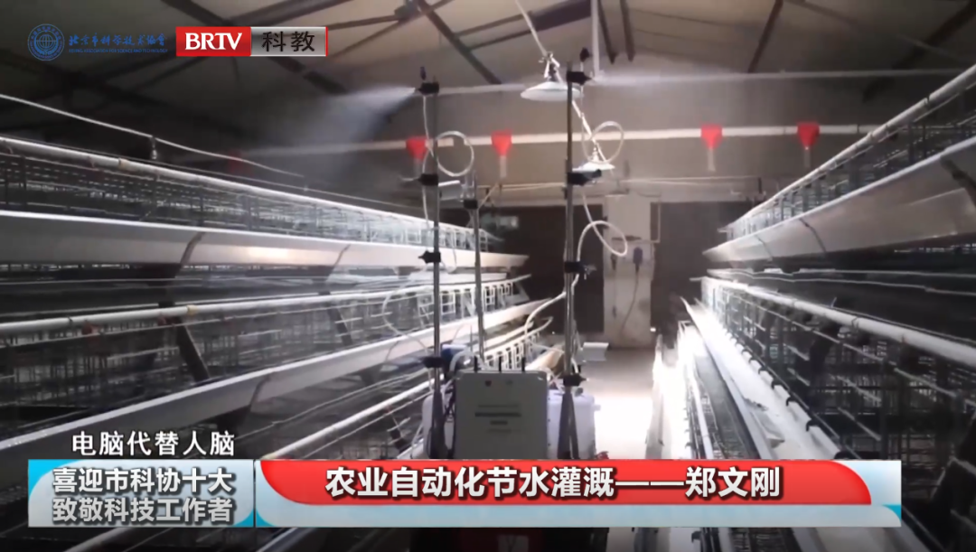 洲精品无码高潮喷水A片