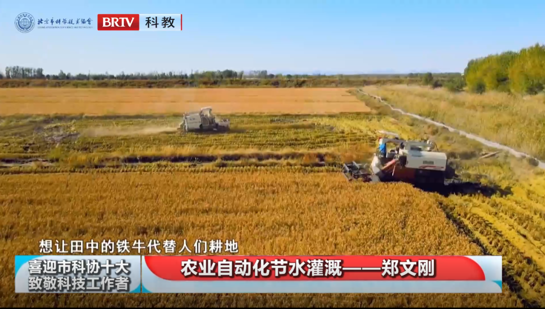 洲精品无码高潮喷水A片