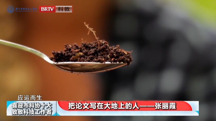 洲精品无码高潮喷水A片