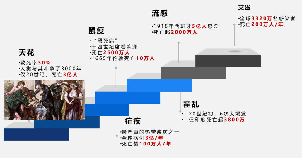 洲精品无码高潮喷水A片