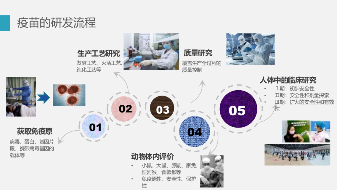 洲精品无码高潮喷水A片