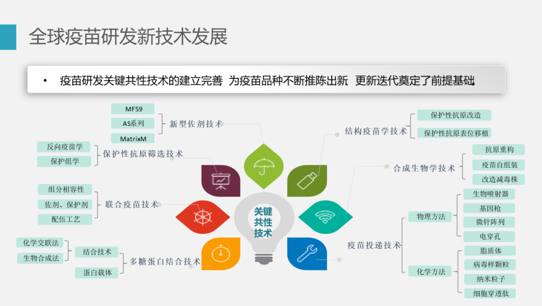 洲精品无码高潮喷水A片