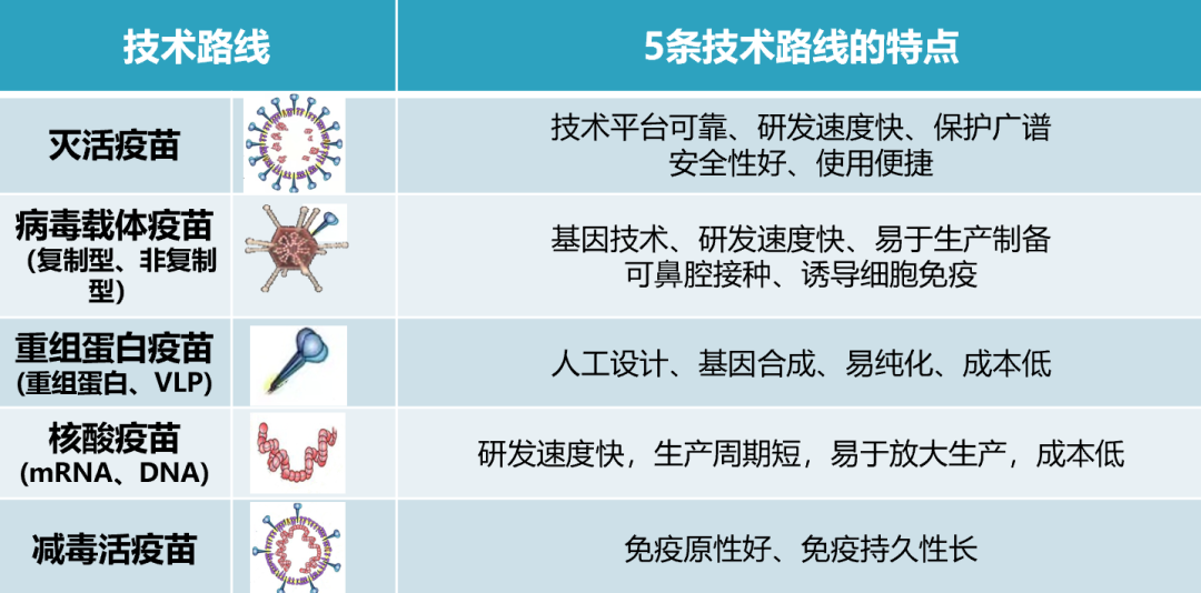 洲精品无码高潮喷水A片