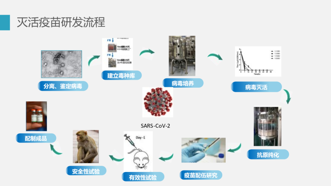 洲精品无码高潮喷水A片