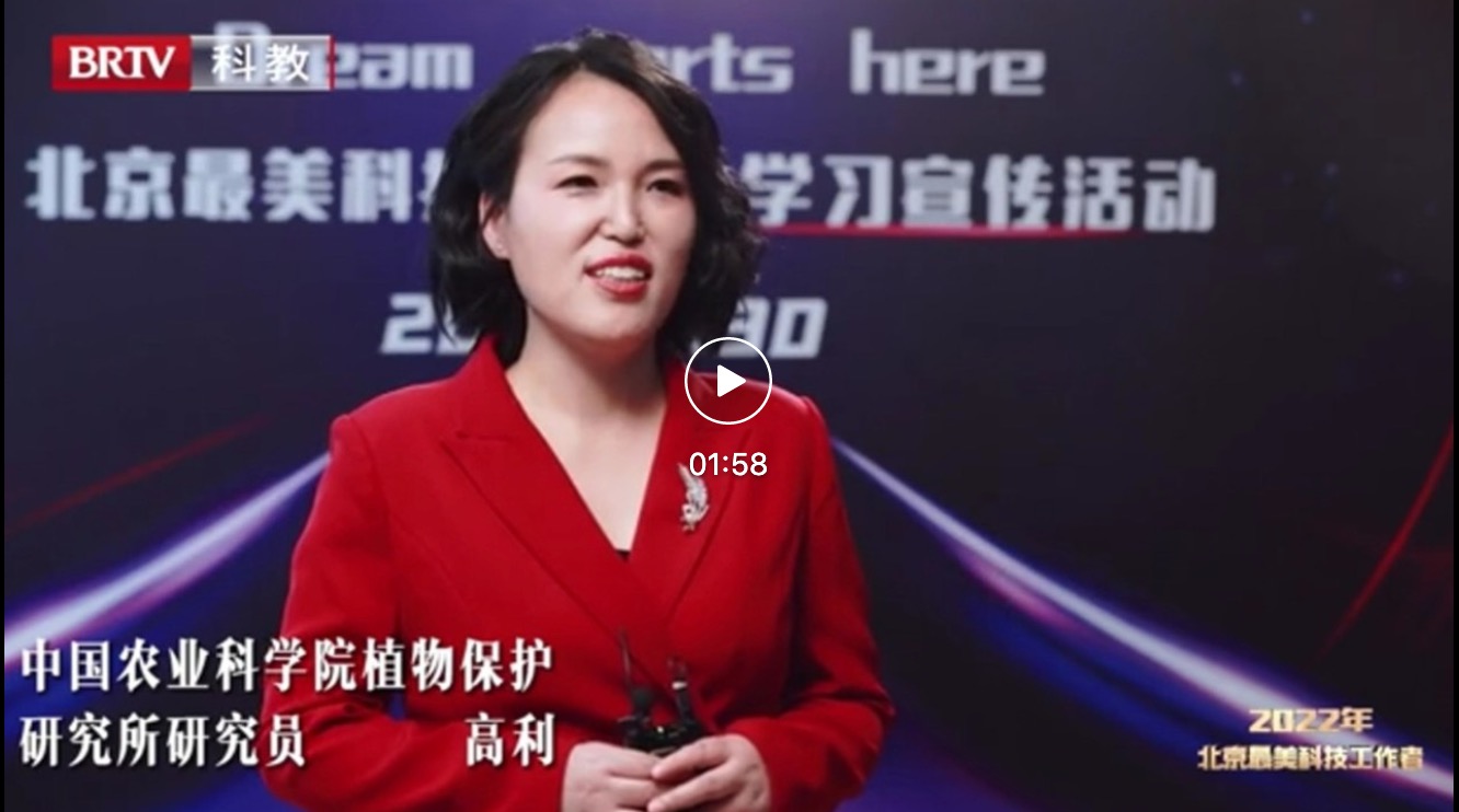 洲精品无码高潮喷水A片